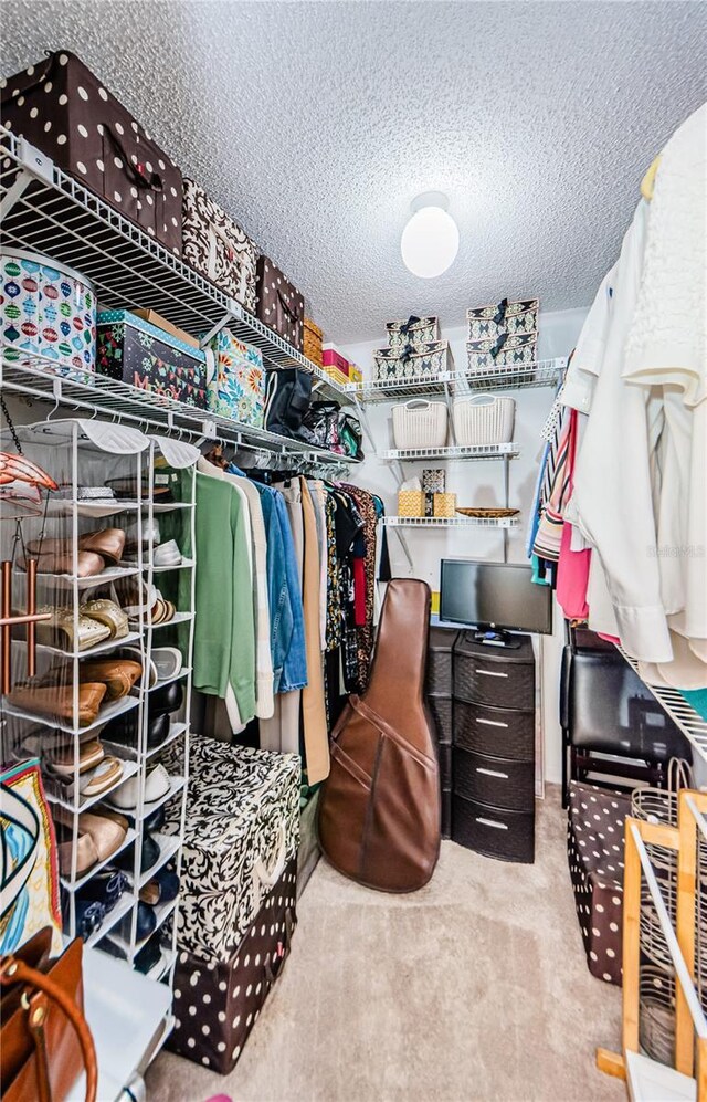 spacious closet with light carpet