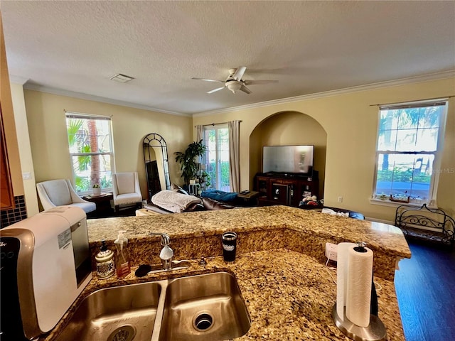 kitchen featuring ceiling fan, ornamental molding, sink, and a textured ceiling