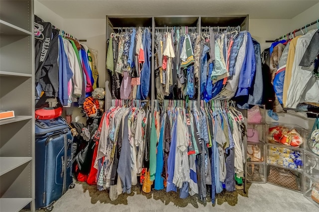 spacious closet with carpet