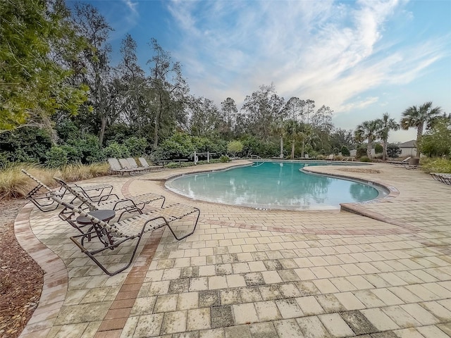 view of swimming pool with a patio area