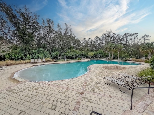 view of swimming pool with a patio area