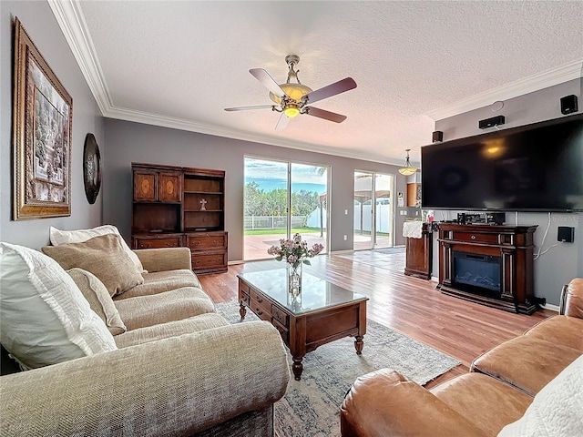 living area featuring light wood-style floors, ornamental molding, a ceiling fan, and a textured ceiling