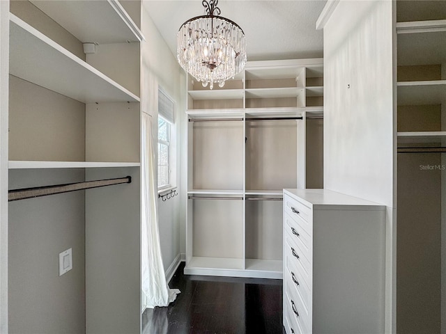 spacious closet with a chandelier and dark hardwood / wood-style floors