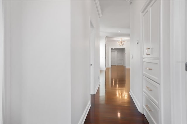 hallway with dark wood-type flooring and crown molding