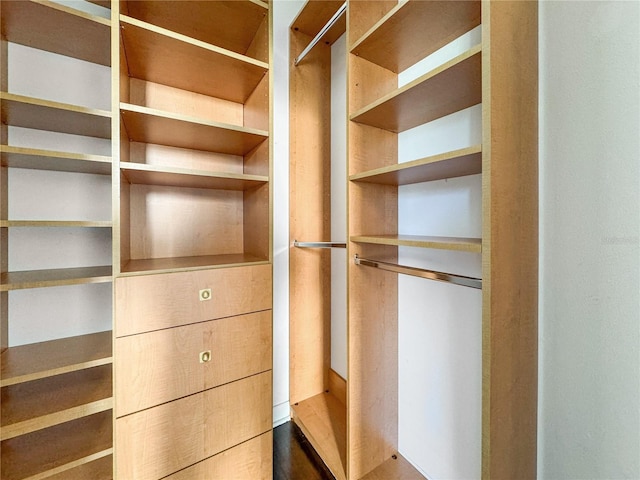 view of walk in closet