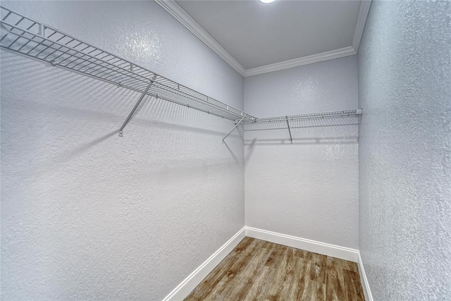 walk in closet with hardwood / wood-style floors