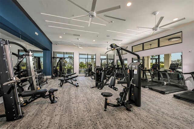 workout area featuring ceiling fan and a healthy amount of sunlight