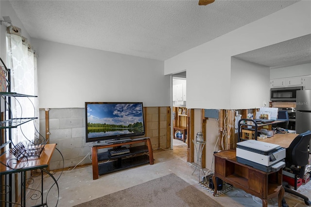 living room featuring a textured ceiling