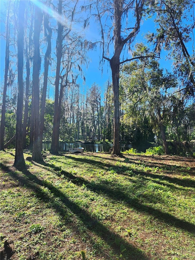 view of yard featuring a water view