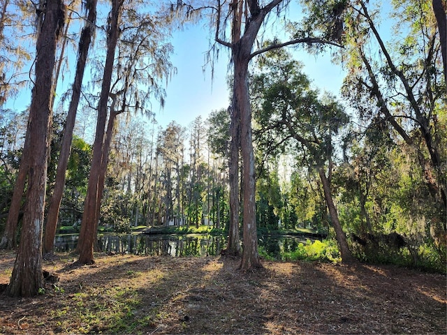 view of yard with a wooded view