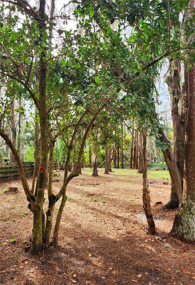 view of local wilderness