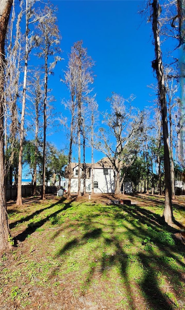 19018 Geraci Rd, Lutz, FL 33548 - photo 47