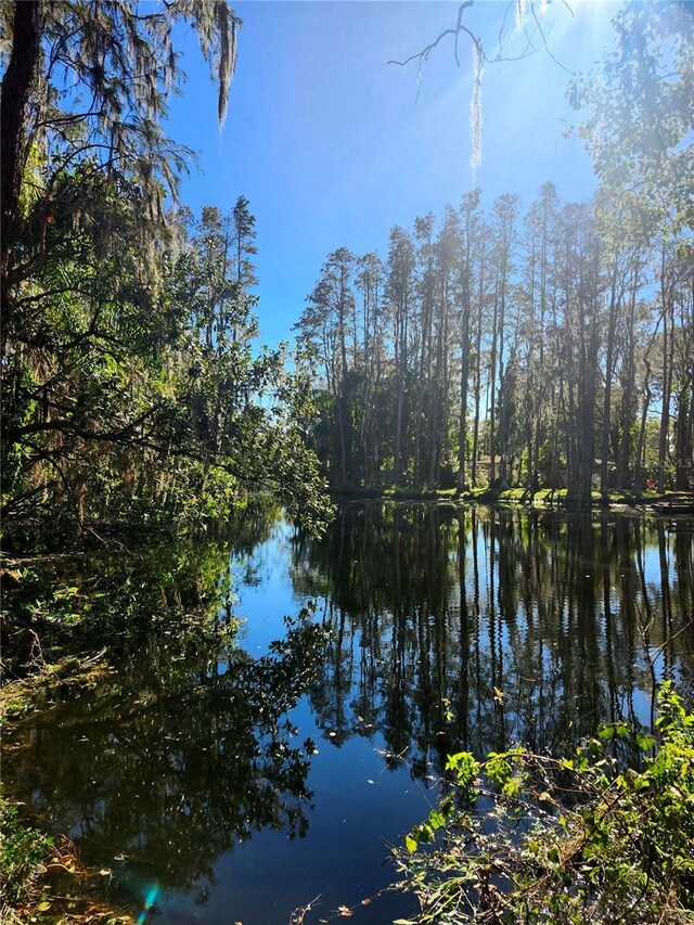 19018 Geraci Rd, Lutz, FL 33548 - photo 11