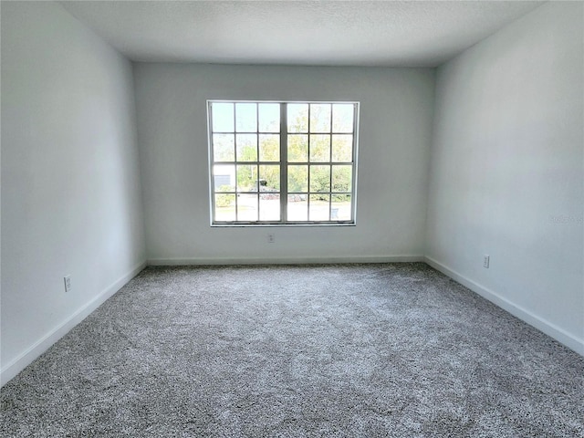 19018 Geraci Rd, Lutz, FL 33548 - photo 43