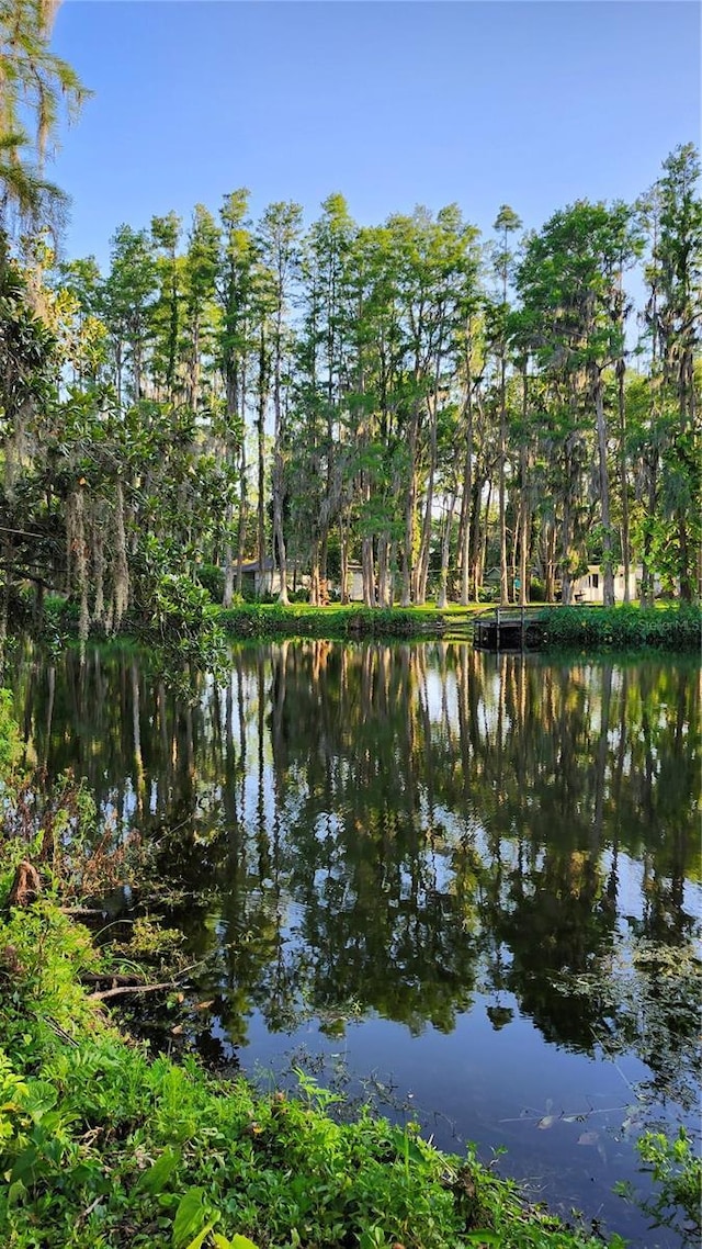 19018 Geraci Rd, Lutz, FL 33548 - photo 49