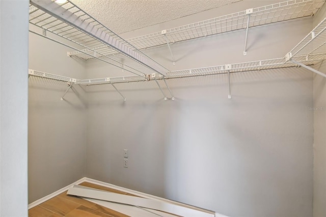 spacious closet featuring hardwood / wood-style floors