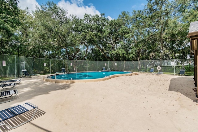 view of swimming pool with a patio area