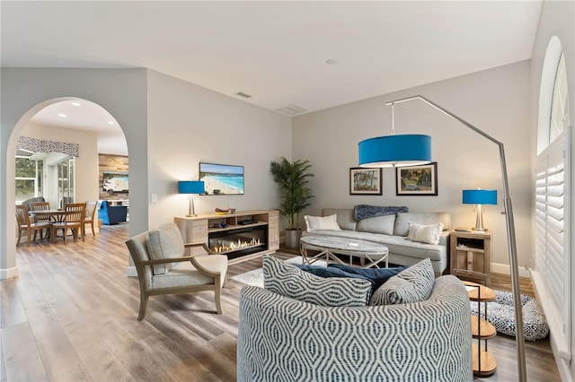 living room with wood-type flooring