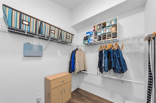 walk in closet with dark hardwood / wood-style floors