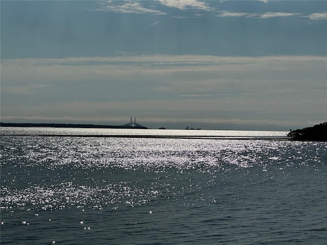 view of water feature