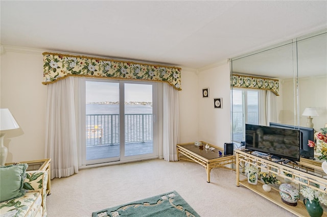 carpeted living room with ornamental molding