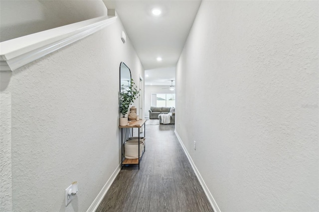 hall featuring dark wood-type flooring