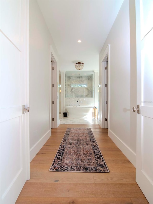 hallway with light hardwood / wood-style flooring