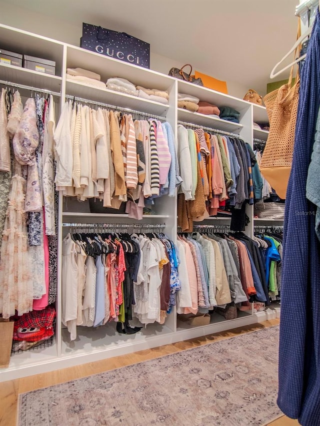 walk in closet with hardwood / wood-style floors