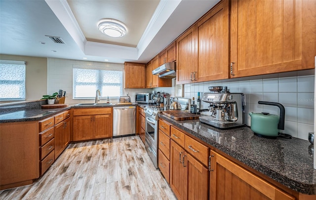 kitchen with sink, light hardwood / wood-style floors, a tray ceiling, crown molding, and appliances with stainless steel finishes