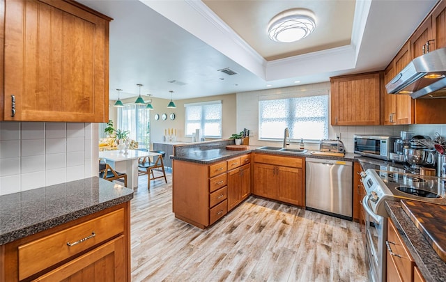 kitchen featuring sink, ornamental molding, extractor fan, a tray ceiling, and appliances with stainless steel finishes