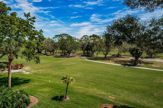 view of community featuring a lawn