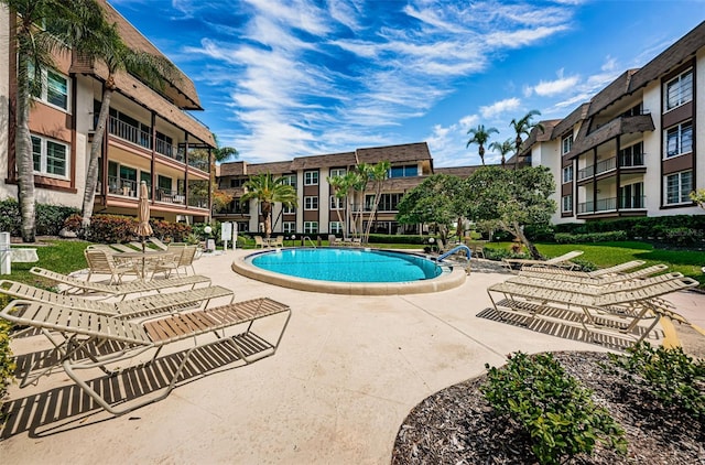 view of swimming pool with a patio