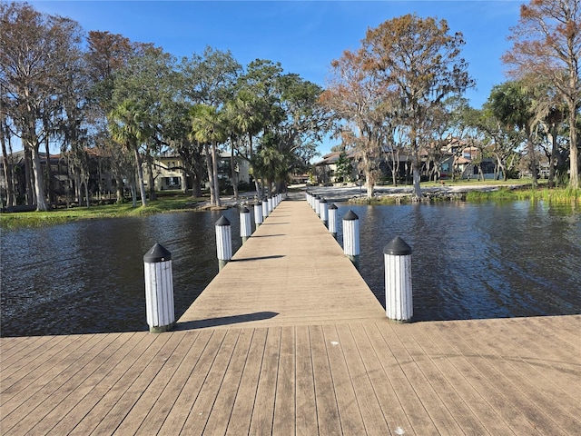 dock area with a water view