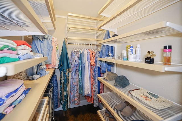 view of spacious closet