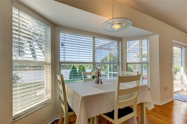 dining area with hardwood / wood-style flooring