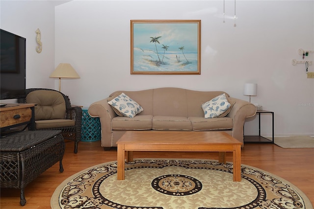 living room featuring hardwood / wood-style floors