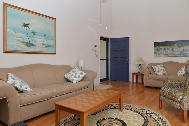 living room with light hardwood / wood-style flooring