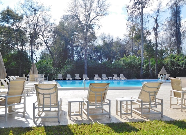 view of swimming pool featuring a patio