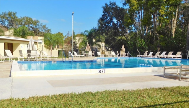 view of pool featuring a patio area