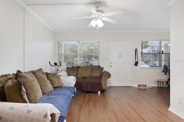 living room with dark wood-type flooring, ceiling fan, ornamental molding, and a wealth of natural light