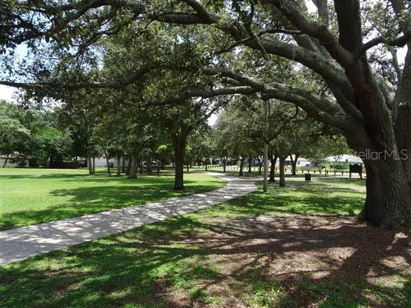 view of home's community with a lawn