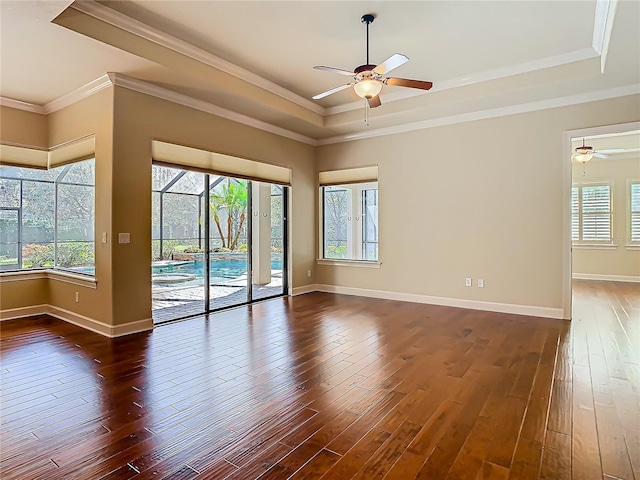 spare room with a wealth of natural light, a raised ceiling, and dark wood-style flooring