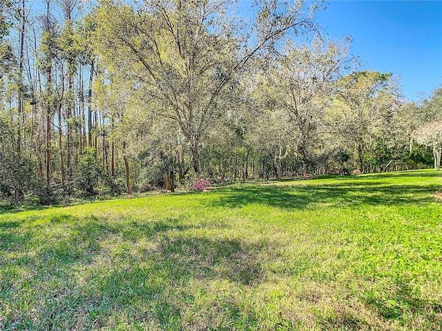 view of yard featuring a wooded view