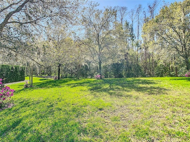 view of yard featuring a view of trees