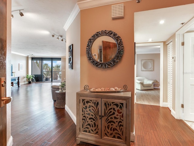 hallway with floor to ceiling windows, hardwood / wood-style floors, and ornamental molding