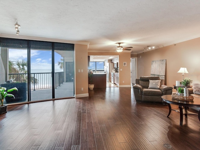 living room featuring ceiling fan, dark wood-type flooring, a textured ceiling, and expansive windows