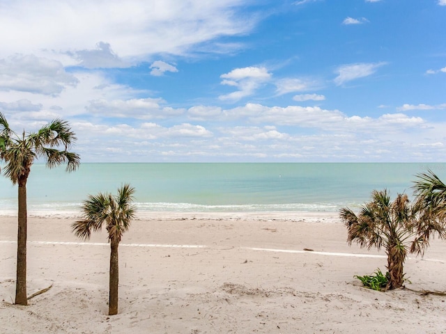 property view of water with a beach view