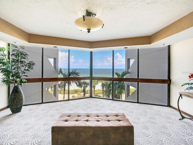 interior space with light carpet, a water view, and a raised ceiling