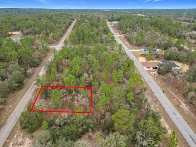 1453 Whialeah Dr, Citrus Springs FL, 34434 land for sale