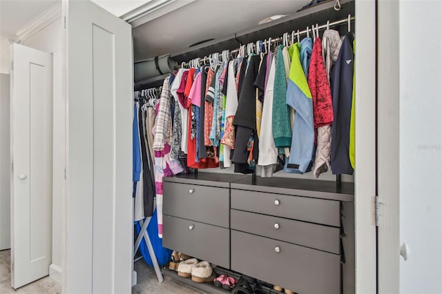 view of closet